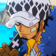 trafalgar law